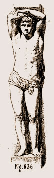 Cariatide