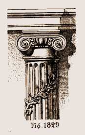 Chapiteau ionique