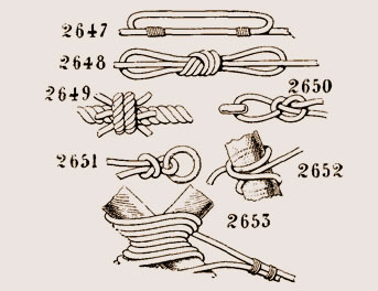 Noeuds